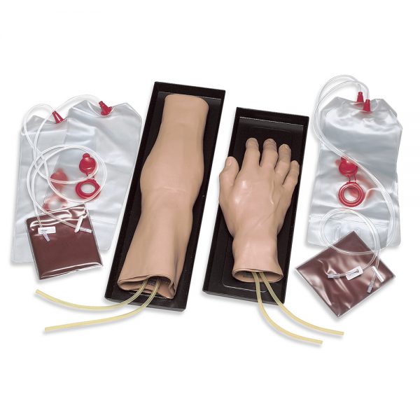 IV Training Arm and Hand Set - Nasco